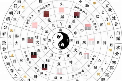 丁五行|天干地支五行对照表